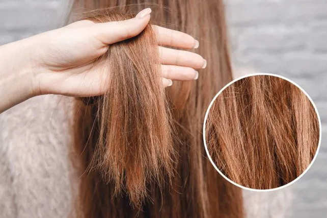 Cabello Quebradizo: